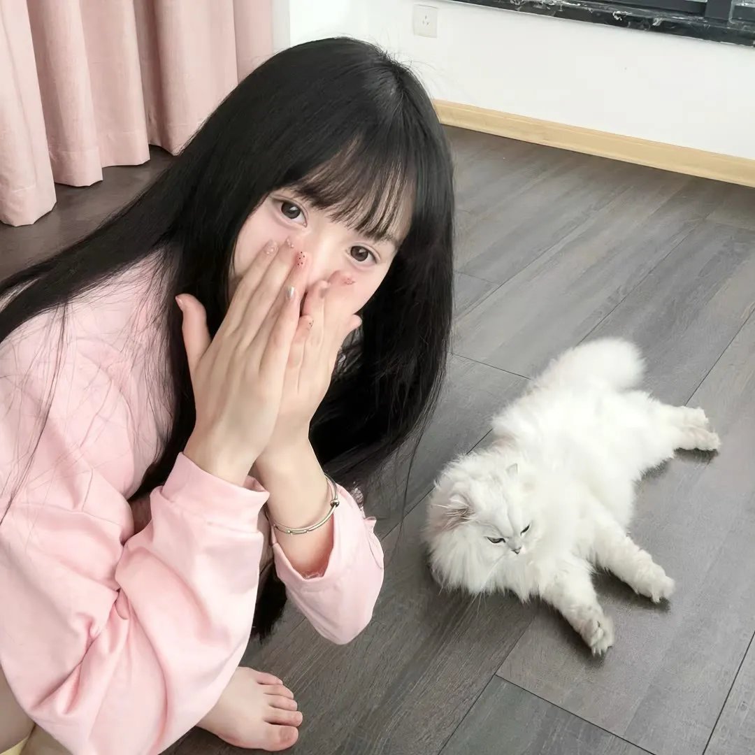 圣斗士星矢 邪神艾莉丝